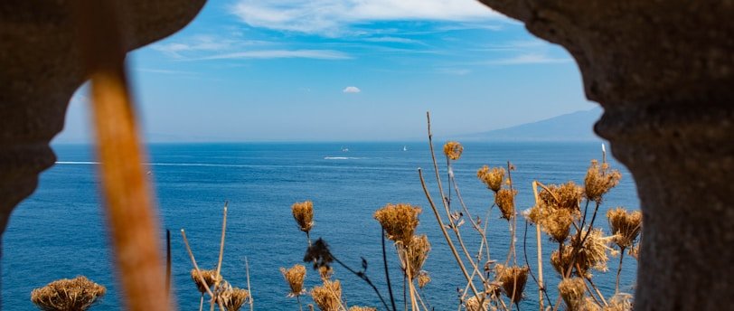 10 Dicas de Coisas para Fazer no Verão na Califórnia