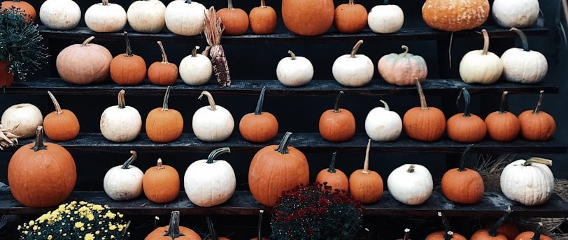 Desvendando o Halloween: História, Significado e Origens