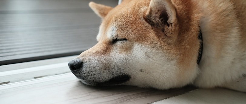 O que é Jet Lag e como lidar com os primeiros dias de uma viagem?